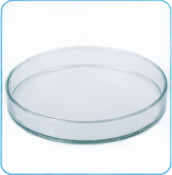 Ilustración de Petri dish